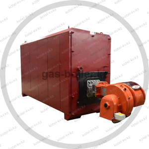 Современные газовые котлы для нагрева воды в коммерческих объектах